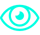 eye-icon